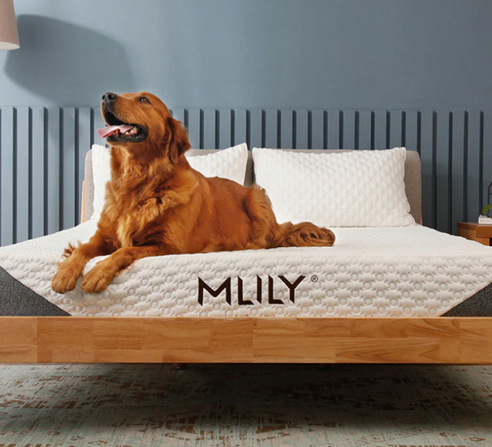 MLILY® Harmony+ Plus Reserve Memory Foam Mattress-In-A-Box