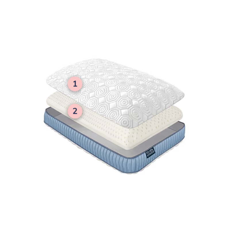 (2-Pack) Stearns & Foster® Latex Pillow