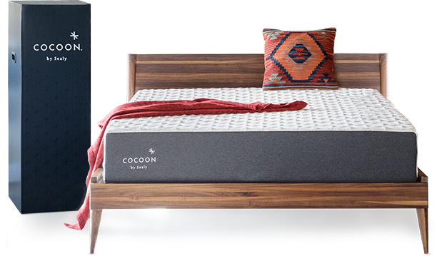 Sealy® Cocoon™ Classic Soft Memory Foam Mattress-In-A-Box