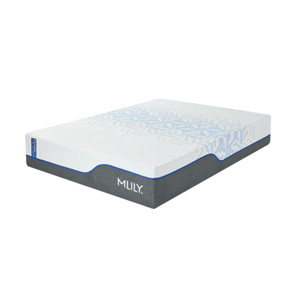 MLILY® ChiroPro 1.0 Hybrid Mattress