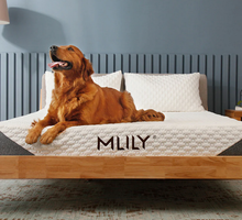 Load image into Gallery viewer, MLILY® Harmony+ Plus Serenity Memory Foam Mattress-In-A-Box
