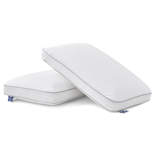 (2-Pack) Sealy® Classic Memory Foam Pillow