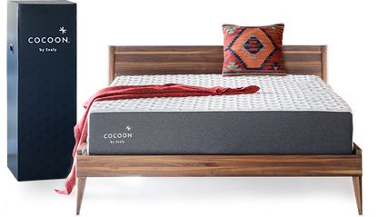 Sealy® Cocoon™ Classic Firm Memory Foam Mattress-In-A-Box